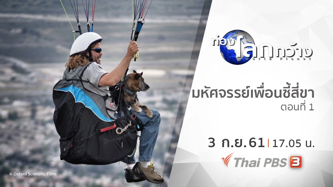 มหัศจรรย์เพื่อนซี้สี่ขา ตอนที่ 1