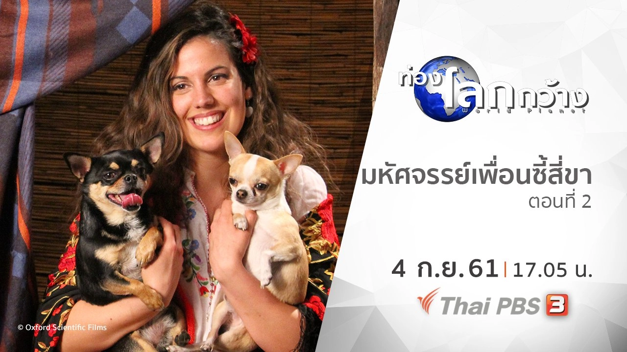 มหัศจรรย์เพื่อนซี้สี่ขา ตอนที่ 2