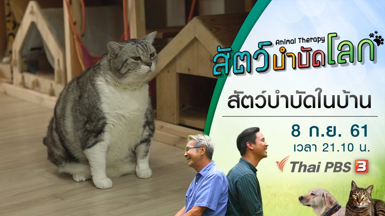 สัตว์บำบัดในบ้าน