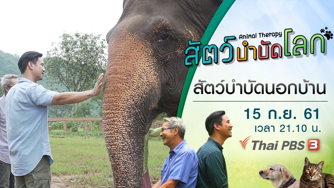 สัตว์บำบัดนอกบ้าน