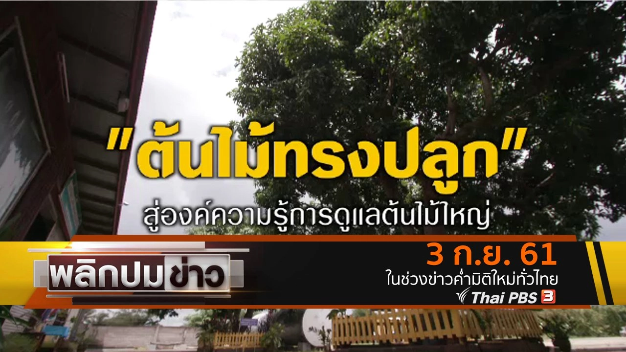 พลิกปมข่าว