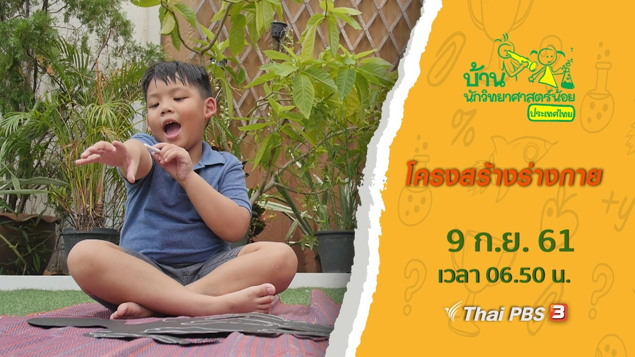 โครงสร้างร่างกาย