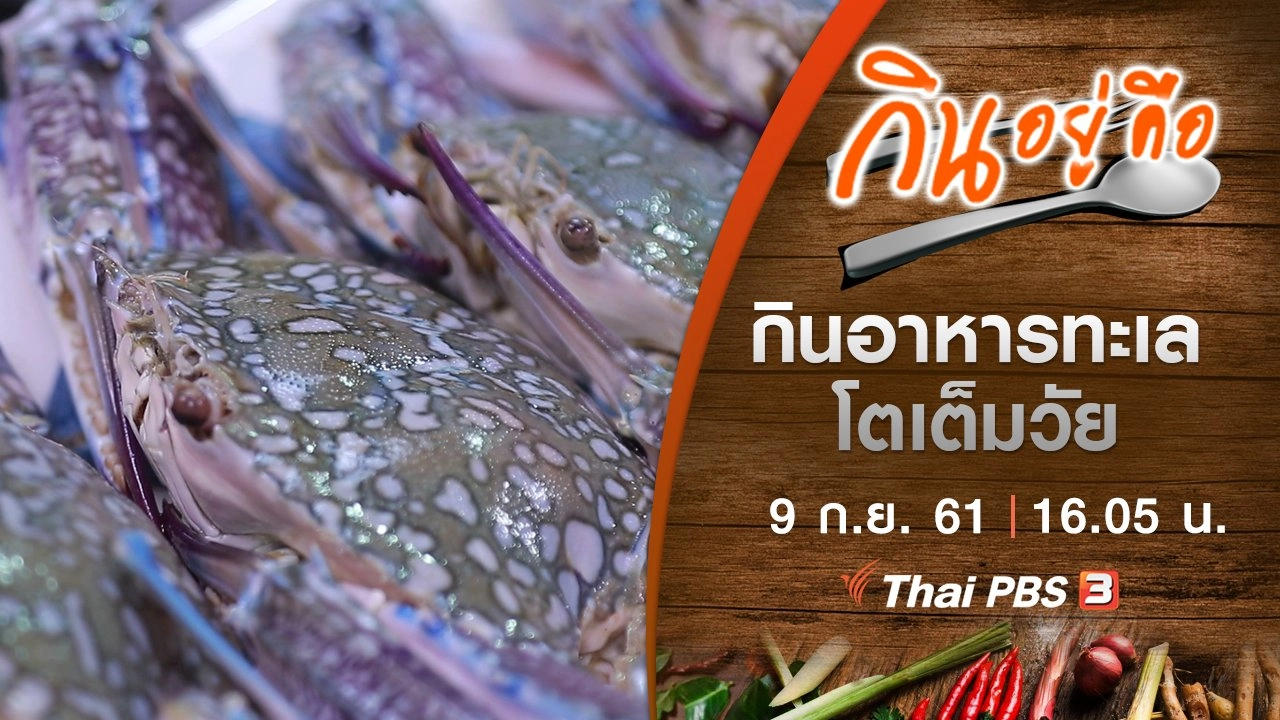 กินอาหารทะเลโตเต็มวัย