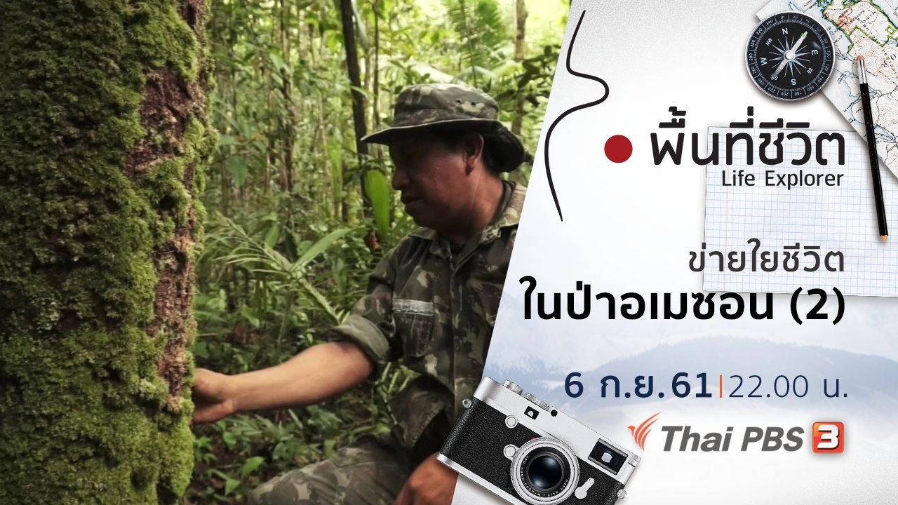 ข่ายใยชีวิตในป่าอเมซอน (2)