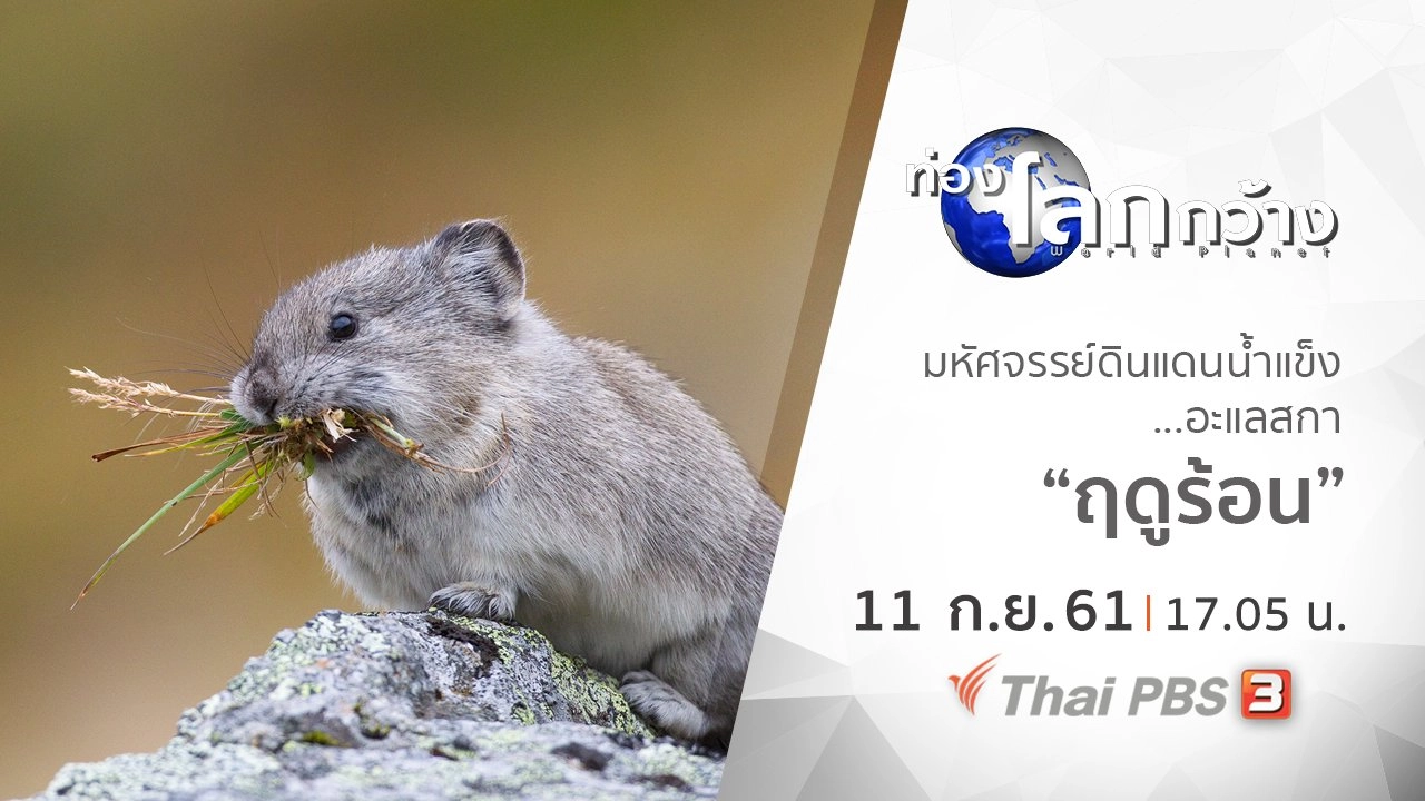 มหัศจรรย์ดินแดนน้ำแข็ง...อะแลสกา ตอน ฤดูร้อน