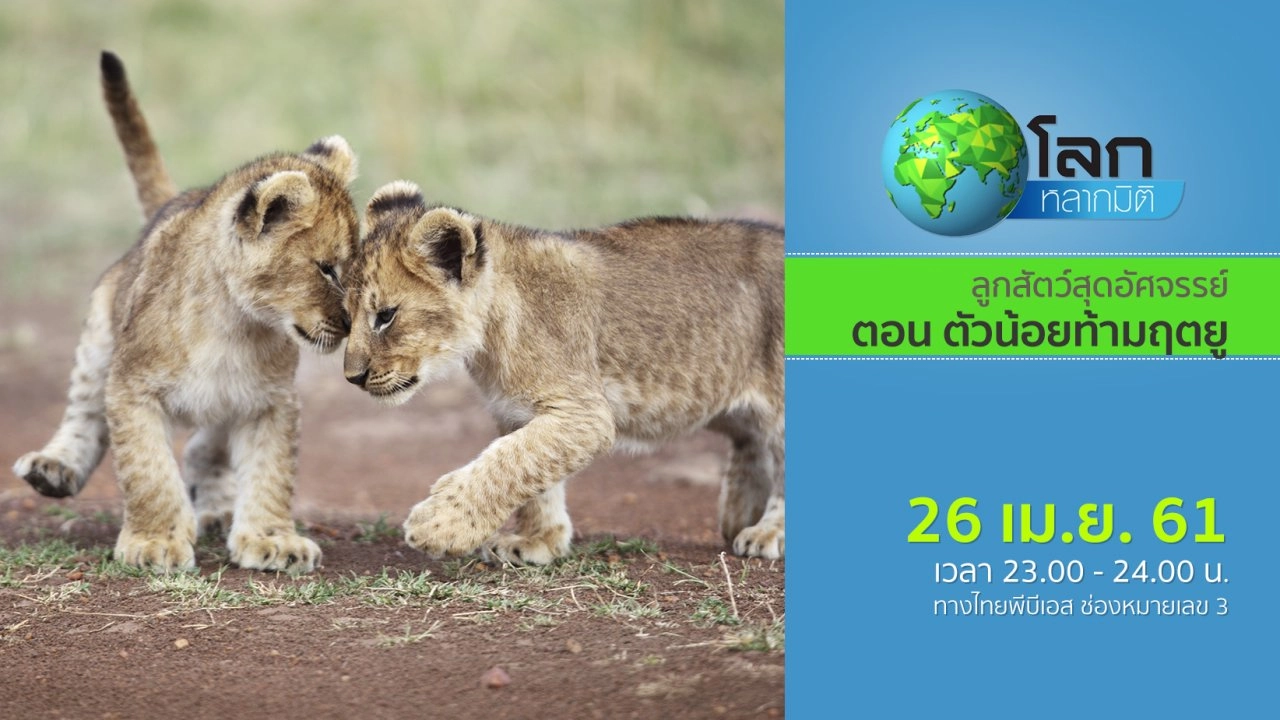 ลูกสัตว์สุดอัศจรรย์ ตอน ตัวน้อยท้ามฤตยู