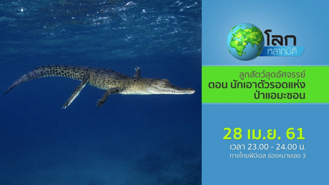 ลูกสัตว์สุดอัศจรรย์ ตอน นักเอาตัวรอดแห่งป่าแอมะซอน