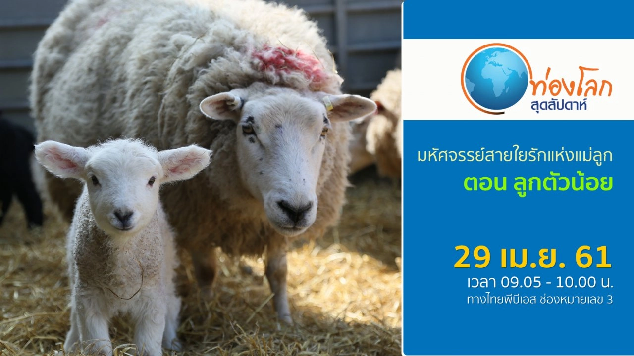 มหัศจรรย์สายใยรักแห่งแม่ลูก ตอน ลูกตัวน้อย