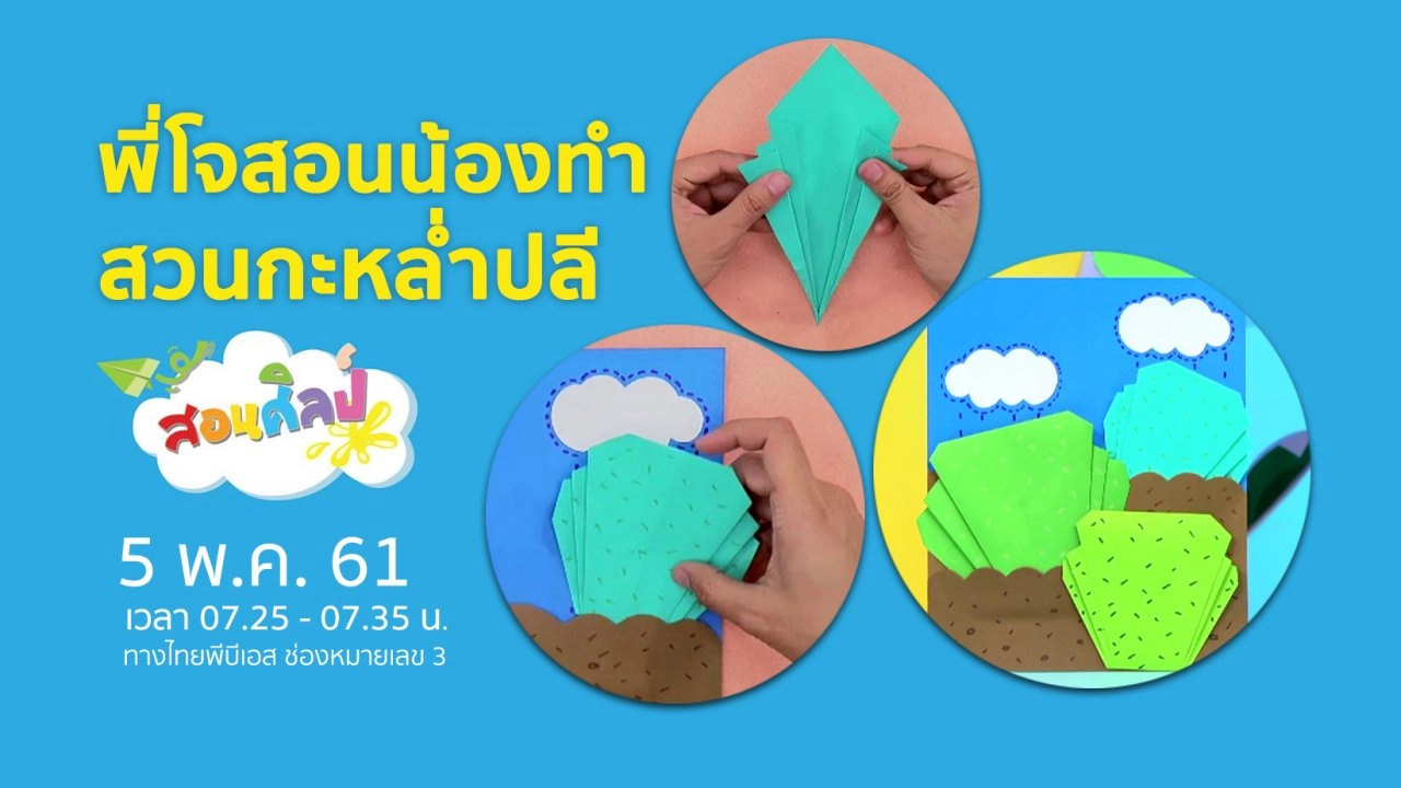 สวนกะหล่ำปลี