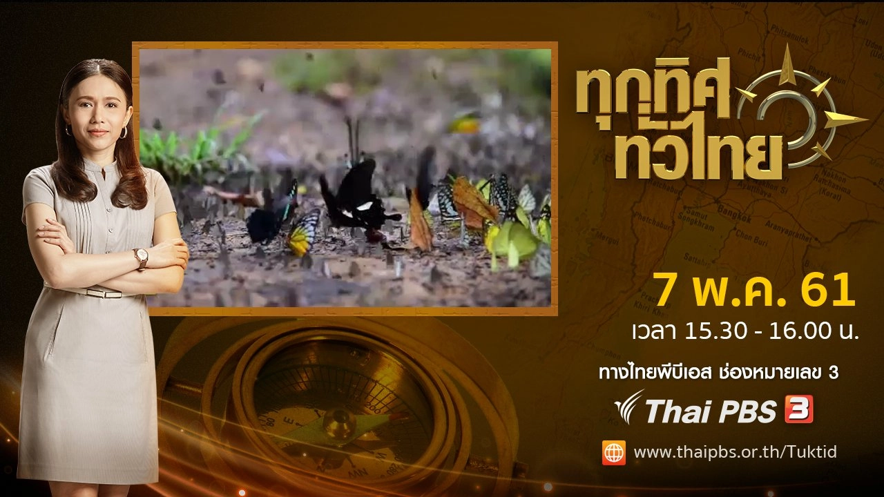 ประเด็นข่าว ( 7 พ.ค. 61)