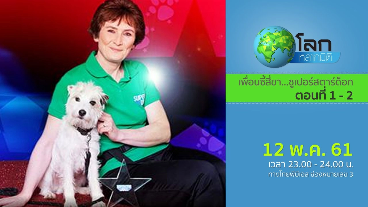 เพื่อนซี้สี่ขา...ซูเปอร์สตาร์ด็อก ตอนที่ 1 - 2