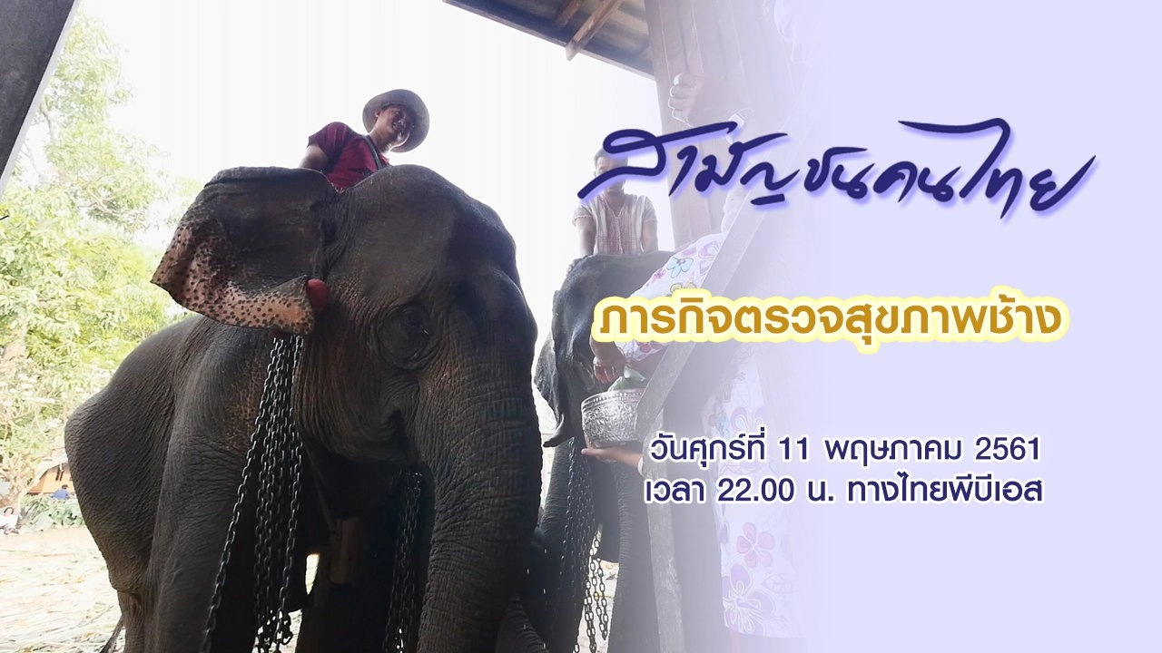 ภารกิจตรวจสุขภาพช้าง