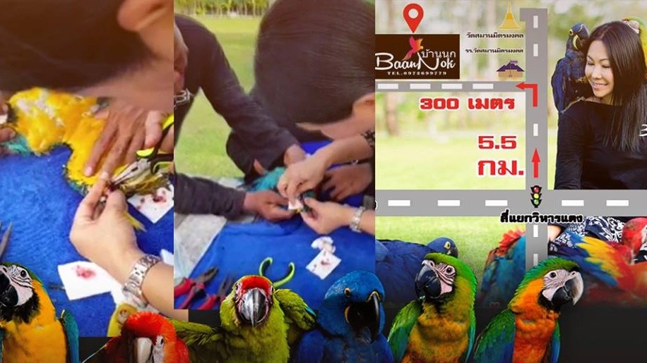 ตรวจสอบ "บ้านนก" จ.สระบุรี รักษาถูกต้องหรือไม่ ?