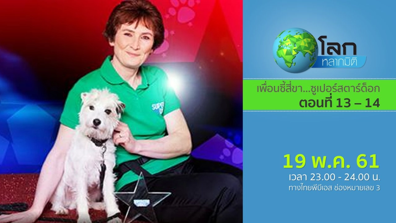 เพื่อนซี้สี่ขา...ซูเปอร์สตาร์ด็อก ตอนที่ 13 – 14