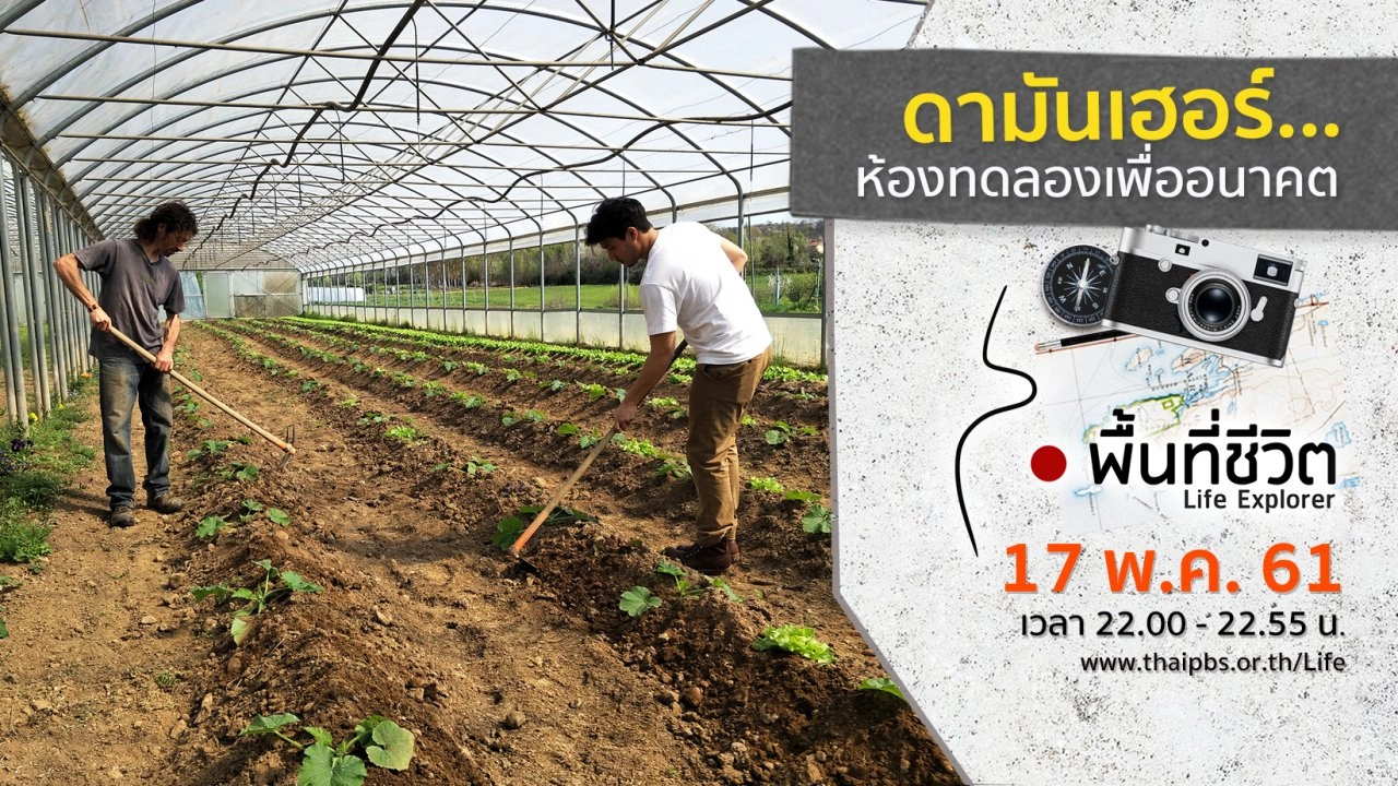 ดามันเฮอร์...ห้องทดลองเพื่ออนาคต