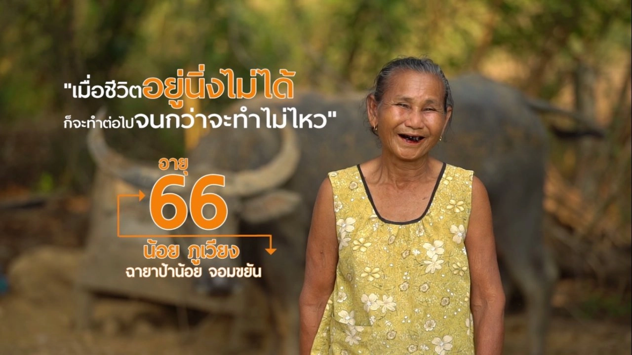 ป้าน้อยจอมขยัน (หมั่นอีหลี)/ สูงวัย + โอกาส = คุณค่า (อบต.ป่าไผ่)