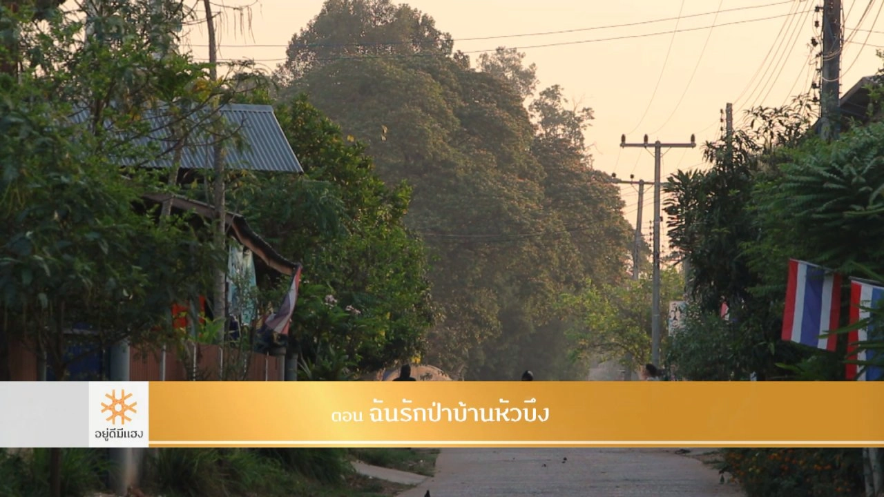 ฉันรักป่าบ้านหัวบึง​