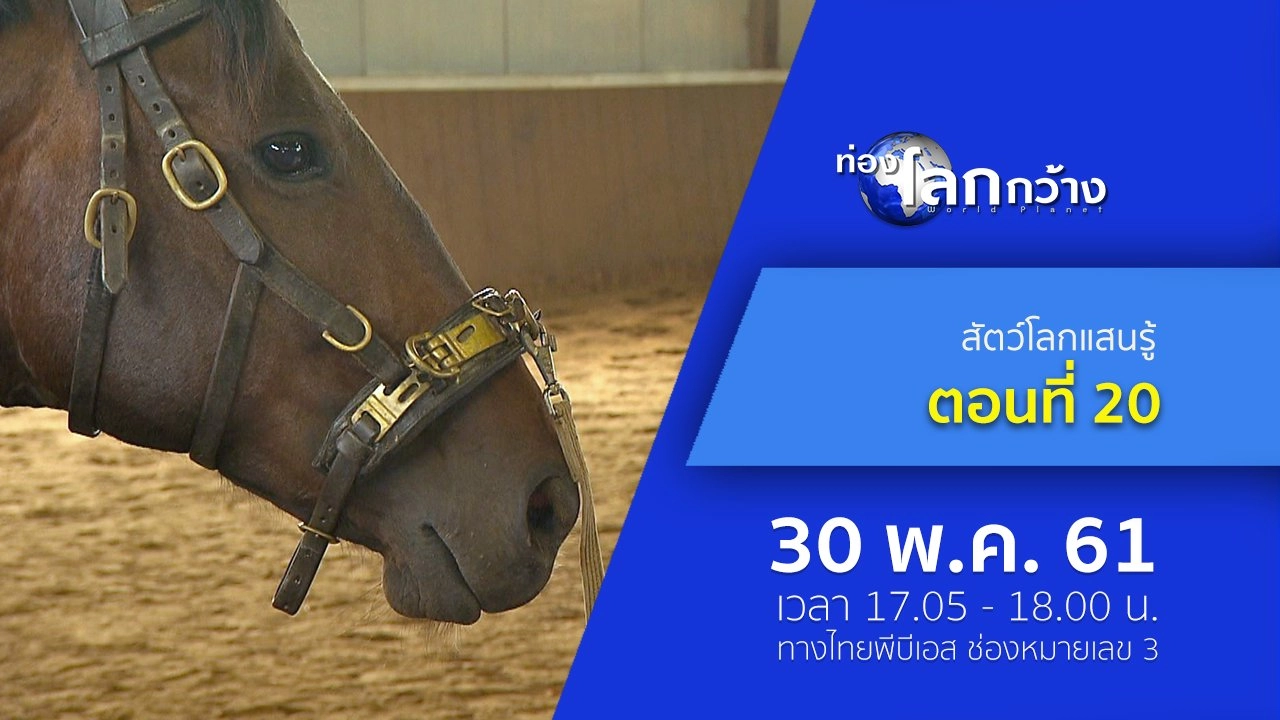 สัตว์โลกแสนรู้ ตอนที่ 20