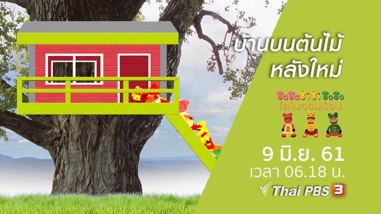 บ้านบนต้นไม้หลังใหม่