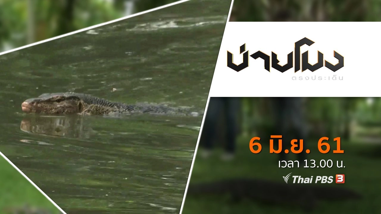 ประเด็นข่าว ( 6 มิ.ย. 61)