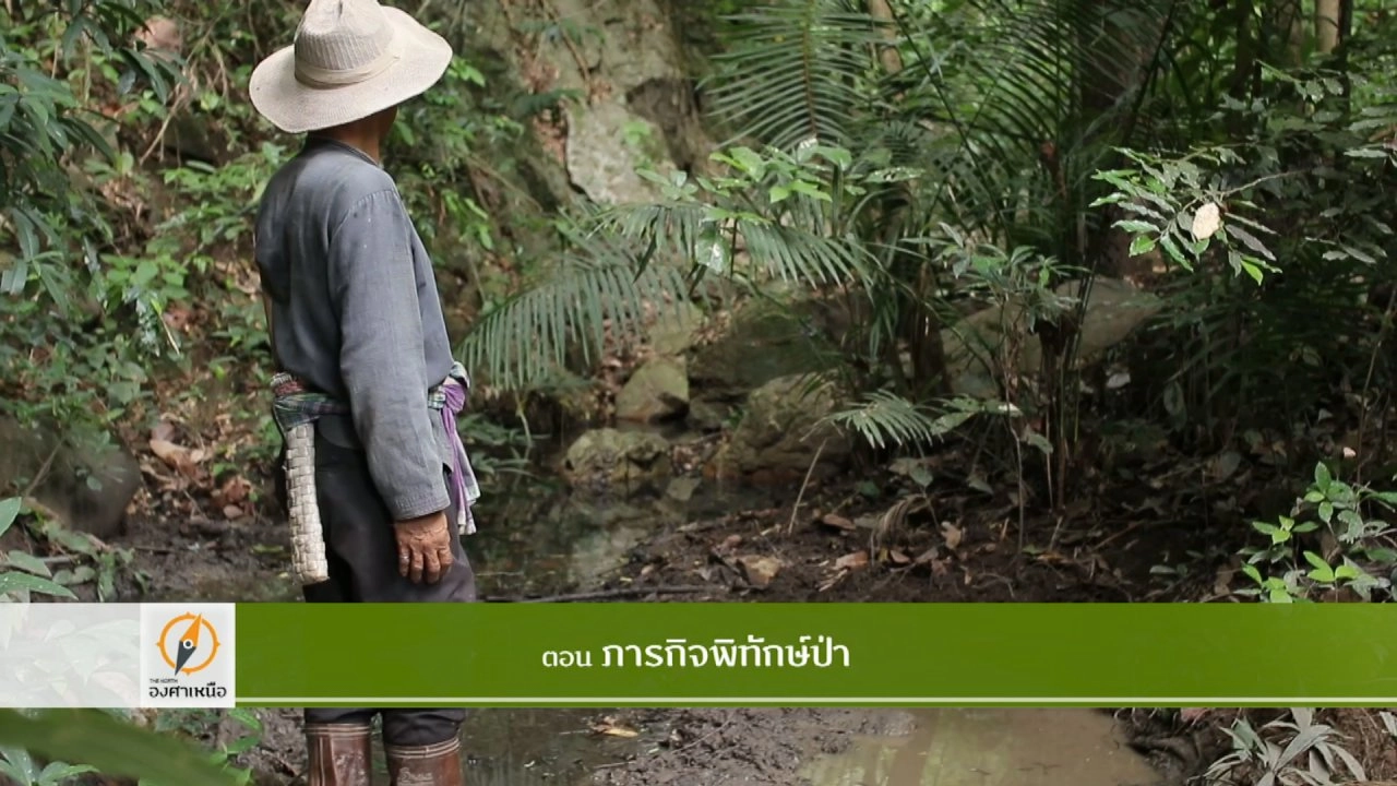 ภารกิจพิทักษ์ป่า​