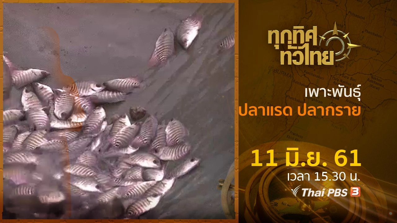 ประเด็นข่าว ( 11 มิ.ย. 61)