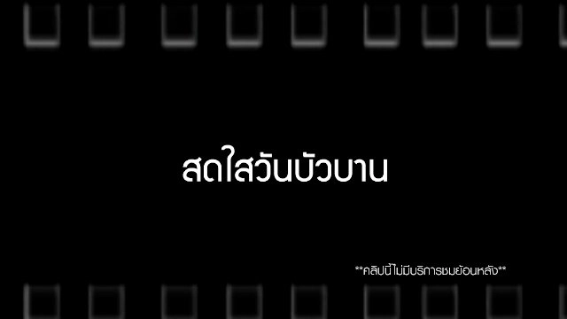 สดใสวันบัวบาน