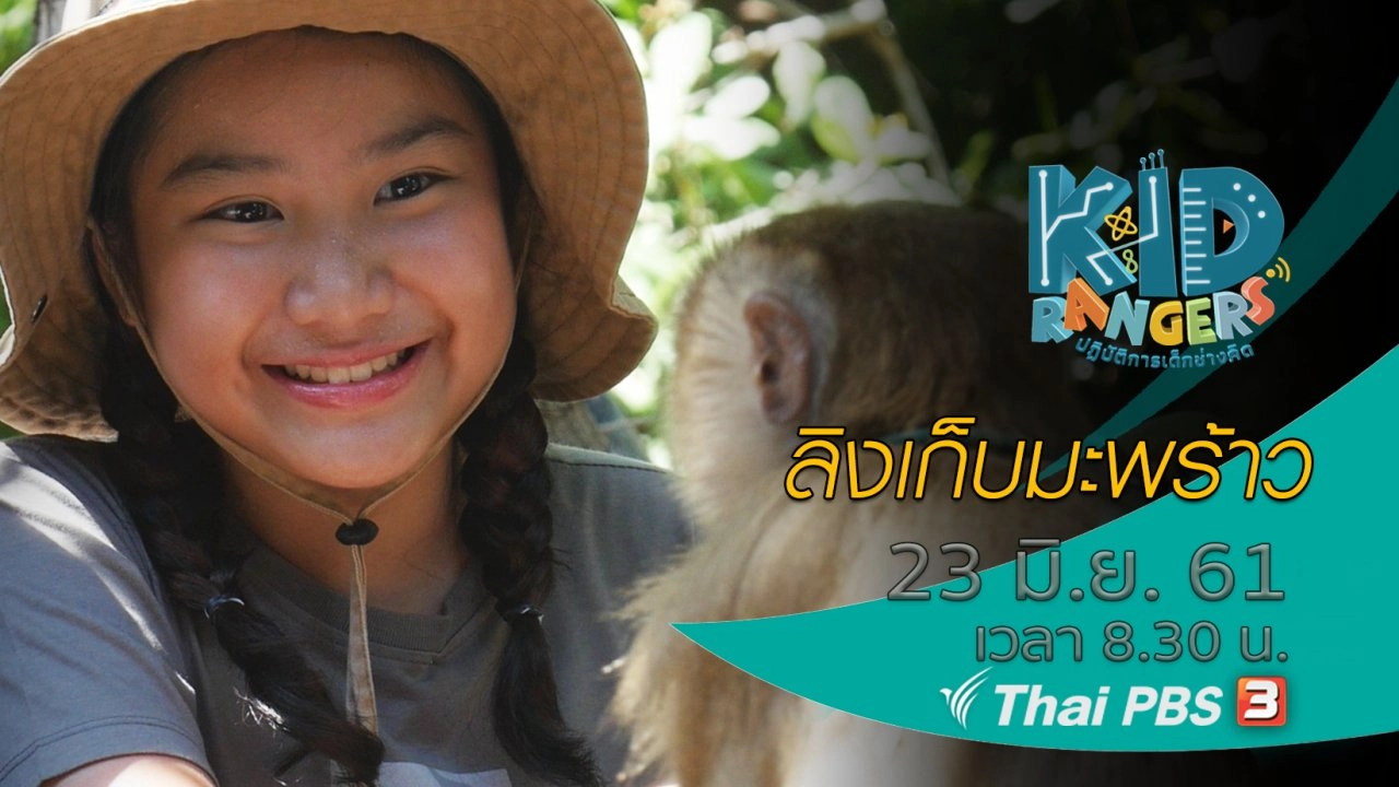 ลิงเก็บมะพร้าว