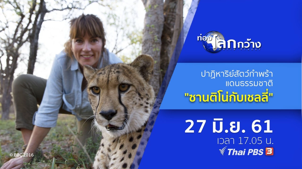 ปาฏิหาริย์สัตว์กำพร้าแดนธรรมชาติ ตอน ซานติโน่กับเชลลี่