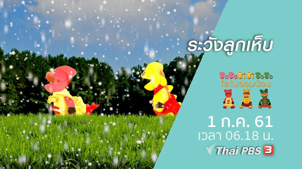 ระวังลูกเห็บ