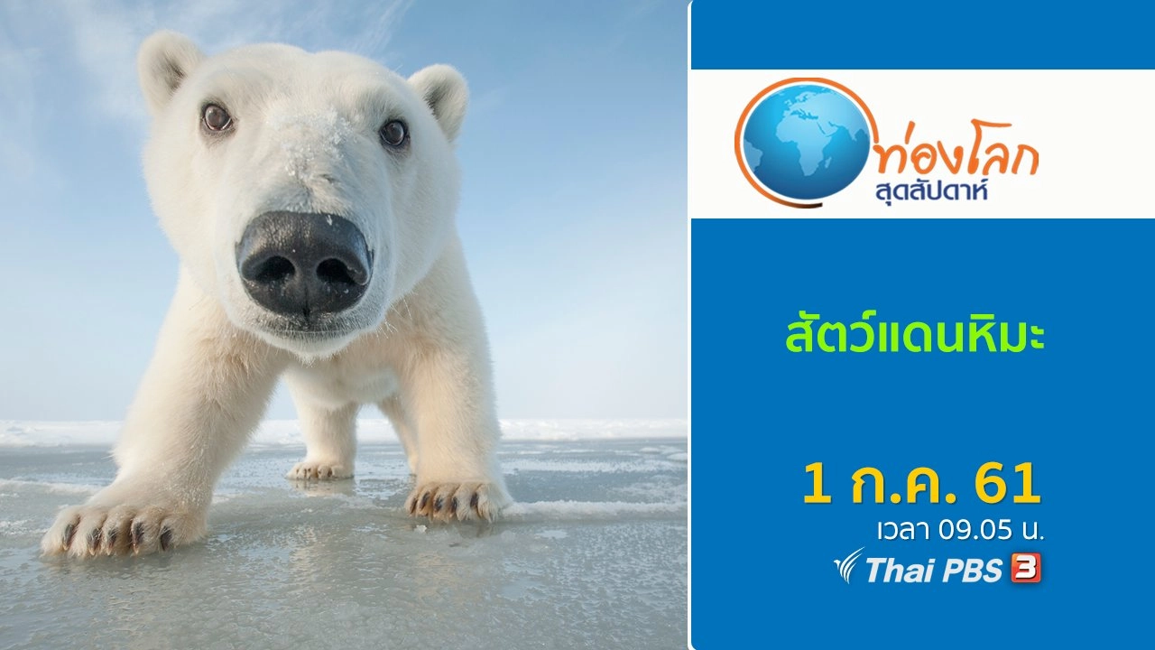 สัตว์แดนหิมะ