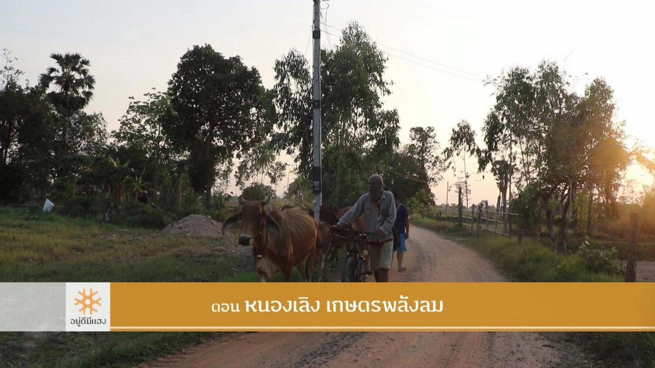 หนองเลิง เกษตรพลังลม​​​