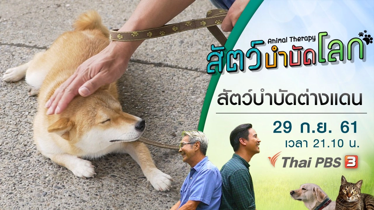 สัตว์บำบัดต่างแดน