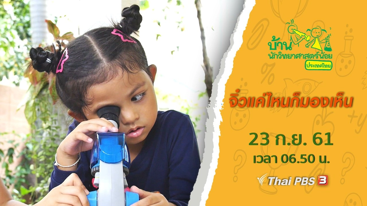 จิ๋วแค่ไหนก็มองเห็น