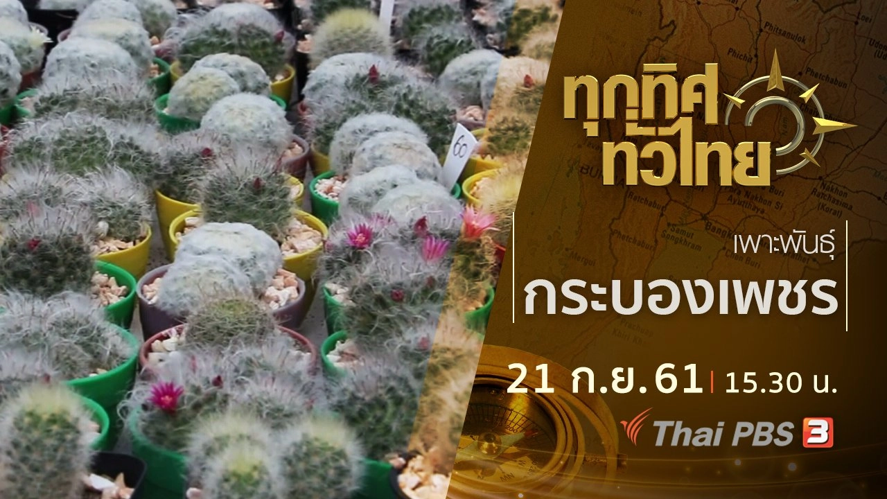 ประเด็นข่าว ( 21 ก.ย. 61)