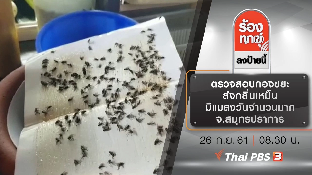 ตรวจสอบกองขยะ ส่งกลิ่นเหม็น มีแมลงวันจำนวนมาก จ.สมุทรปราการ