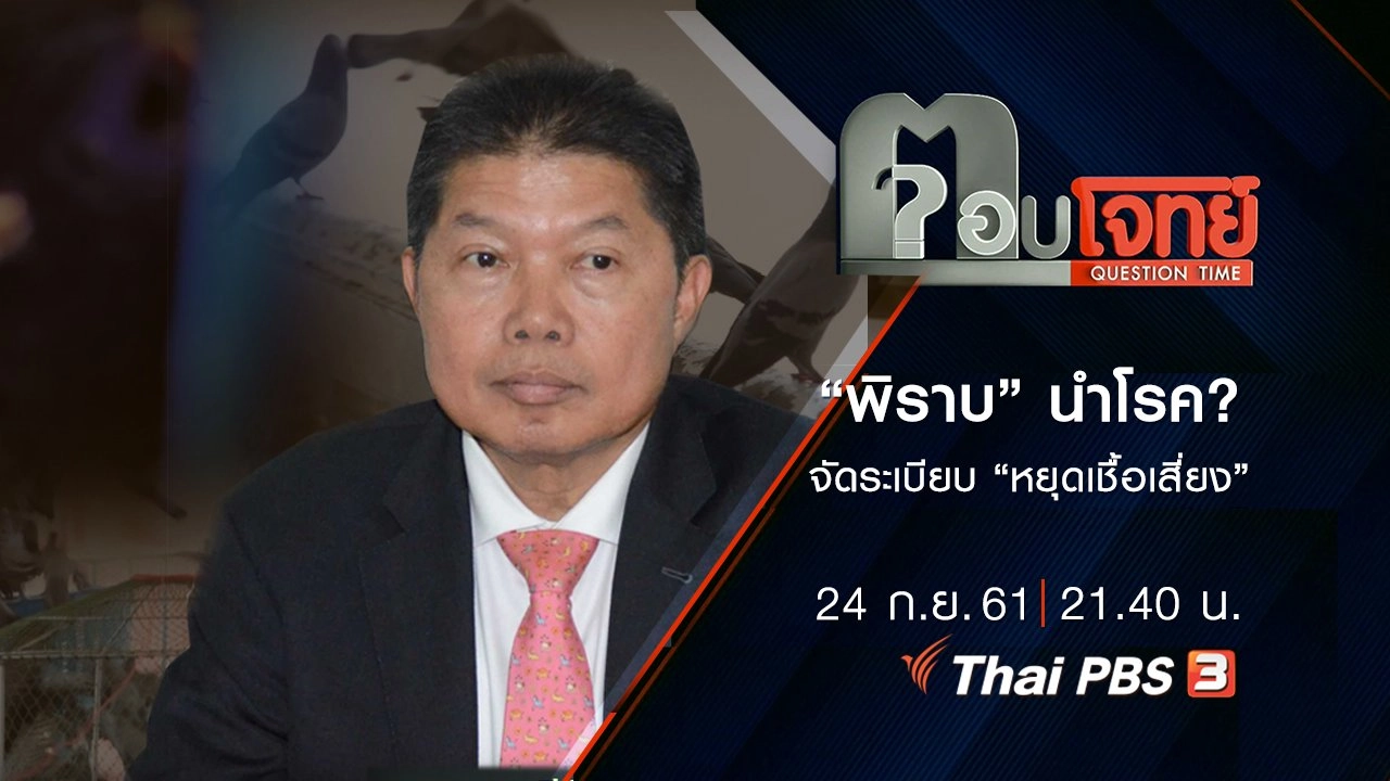 ​“พิราบ” นำโรค ...? จัดระเบียบ “หยุดเชื้อเสี่ยง” ปรับ “พฤติกรรมคน”
