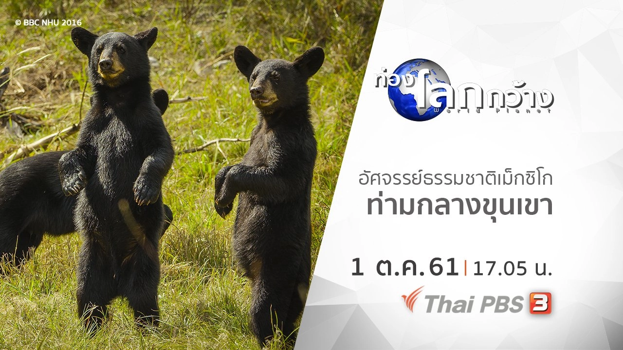 อัศจรรย์ธรรมชาติเม็กซิโก ตอน ท่ามกลางขุนเขา