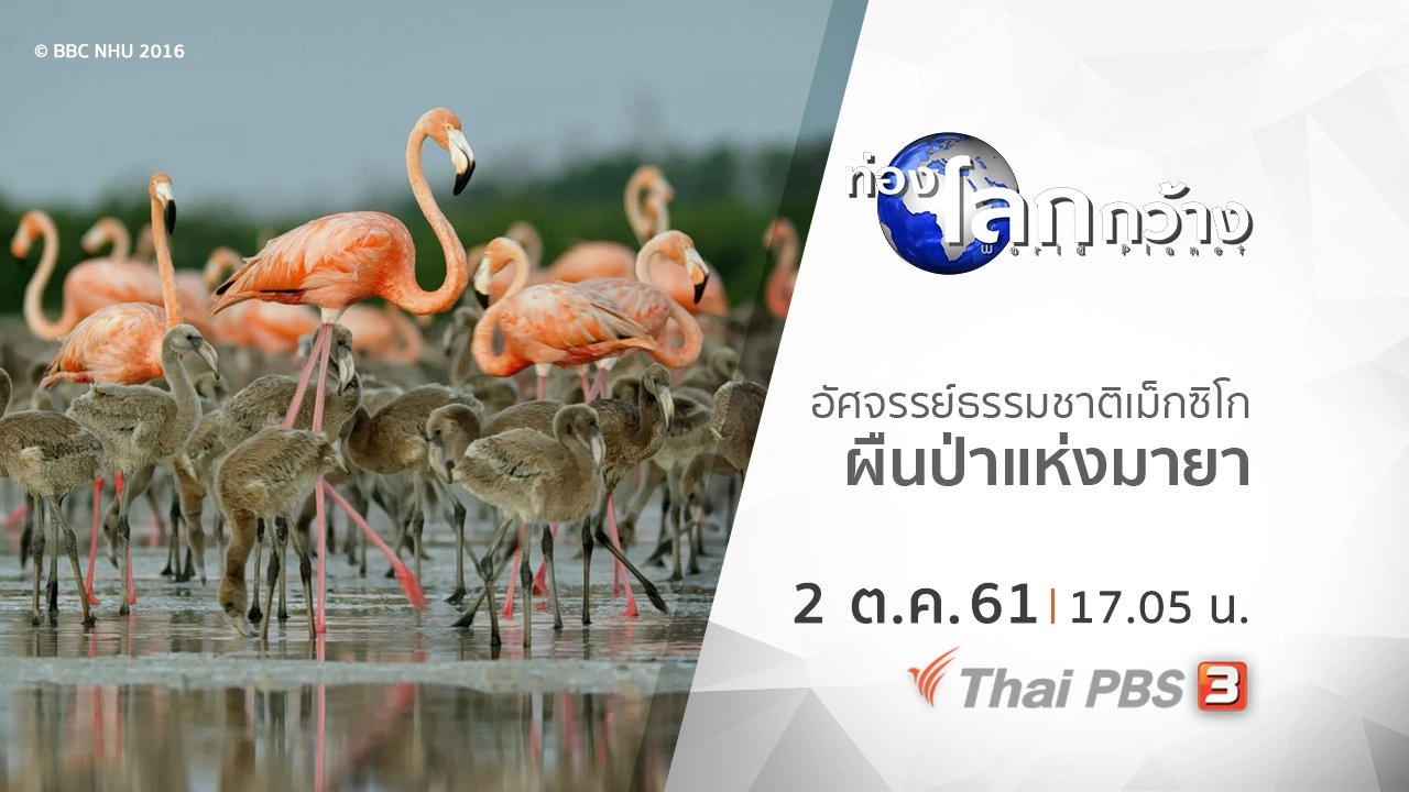 อัศจรรย์ธรรมชาติเม็กซิโก ตอน ผืนป่าแห่งมายา