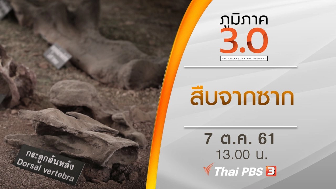 สืบจากซาก