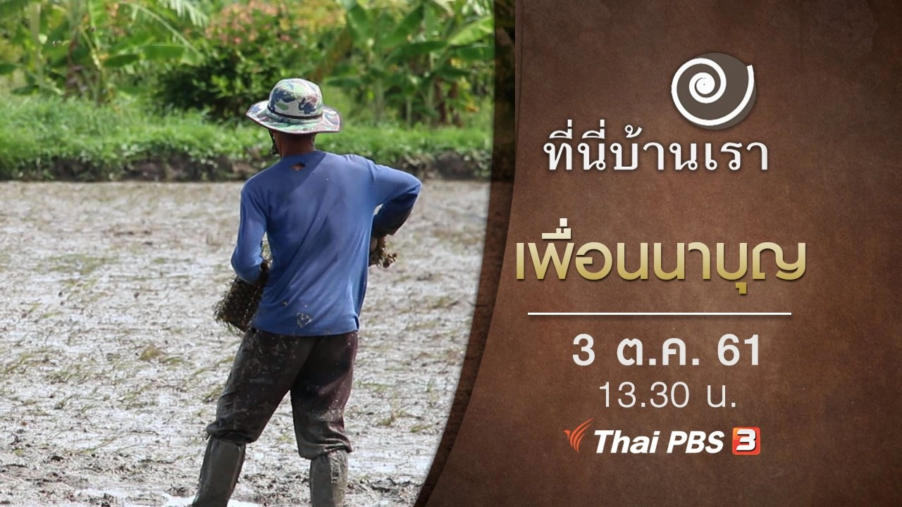 เพื่อนนาบุญ