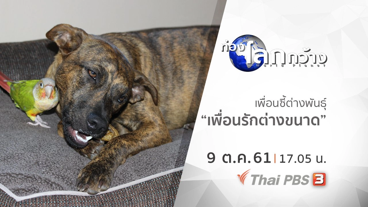 เพื่อนซี้ต่างพันธุ์ ตอน เพื่อนรักต่างขนาด