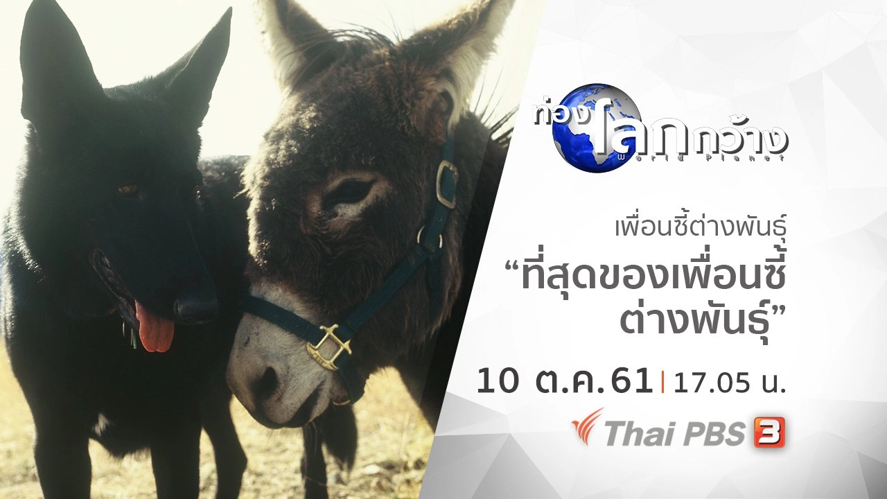 เพื่อนซี้ต่างพันธุ์ ตอน ที่สุดของเพื่อนซี้ต่างพันธุ์