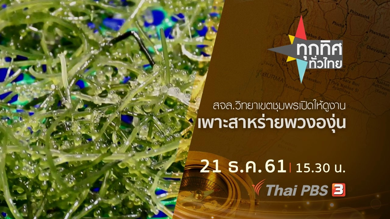 ประเด็นข่าว ( 21 ธ.ค. 61)