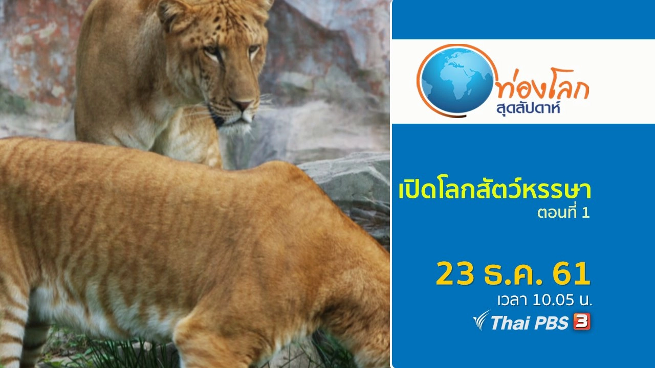 เปิดโลกสัตว์หรรษา ตอนที่ 1