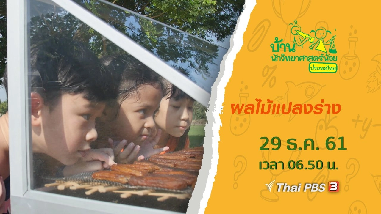 ผลไม้แปลงร่าง