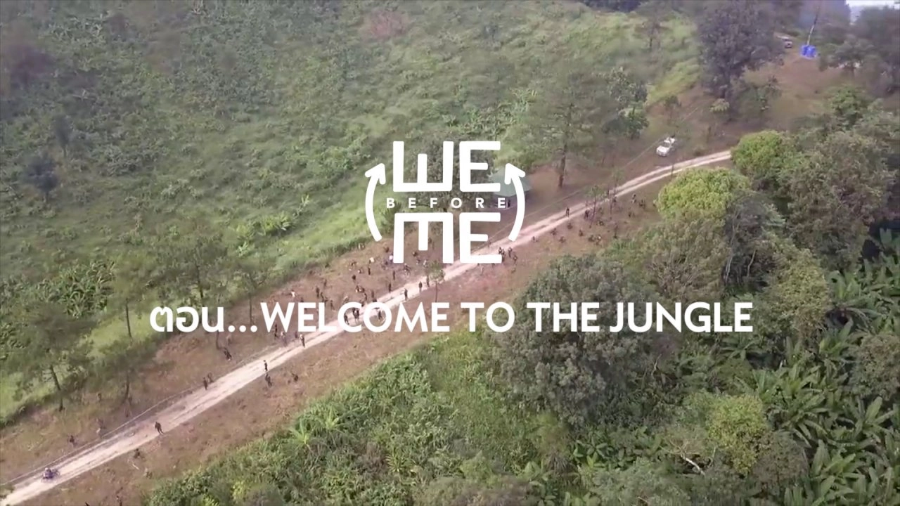 Welcome to The Jungle