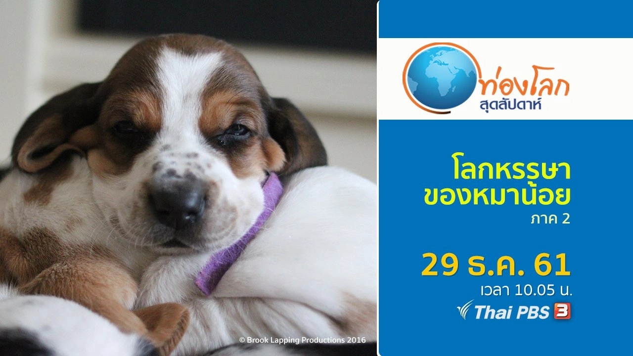 โลกหรรษาของหมาน้อย ภาค 2 ตอนที่ 8