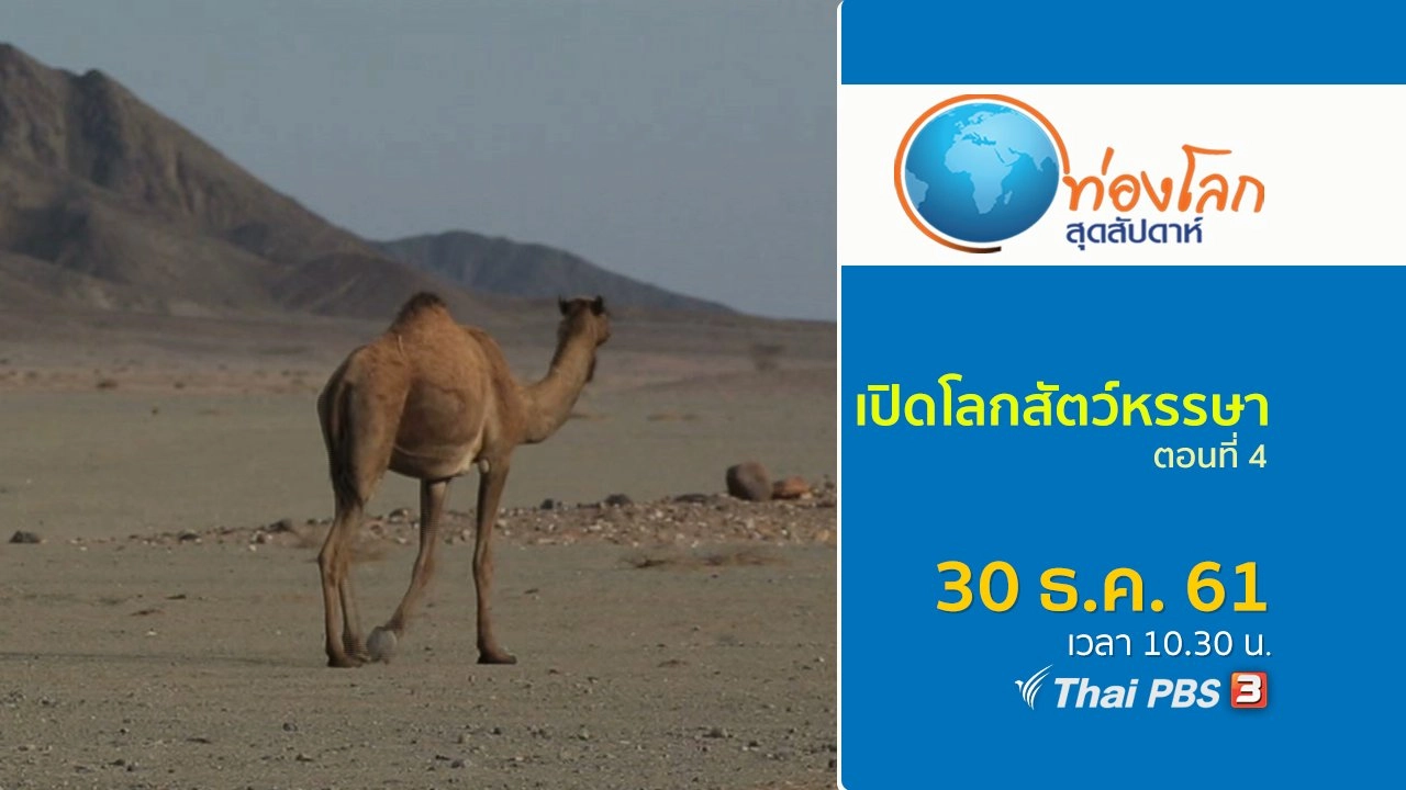 เปิดโลกสัตว์หรรษา ตอนที่ 4