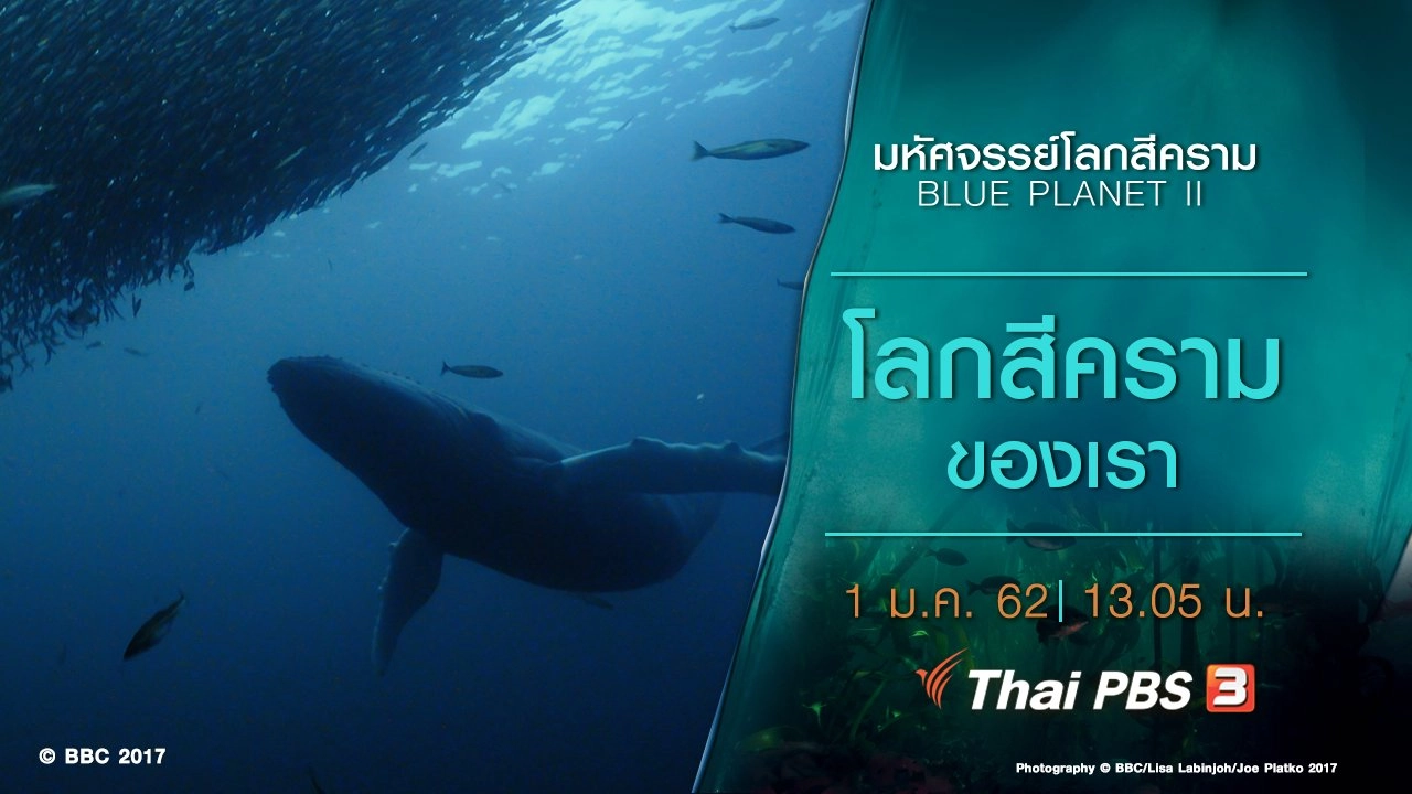 โลกสีครามของเรา